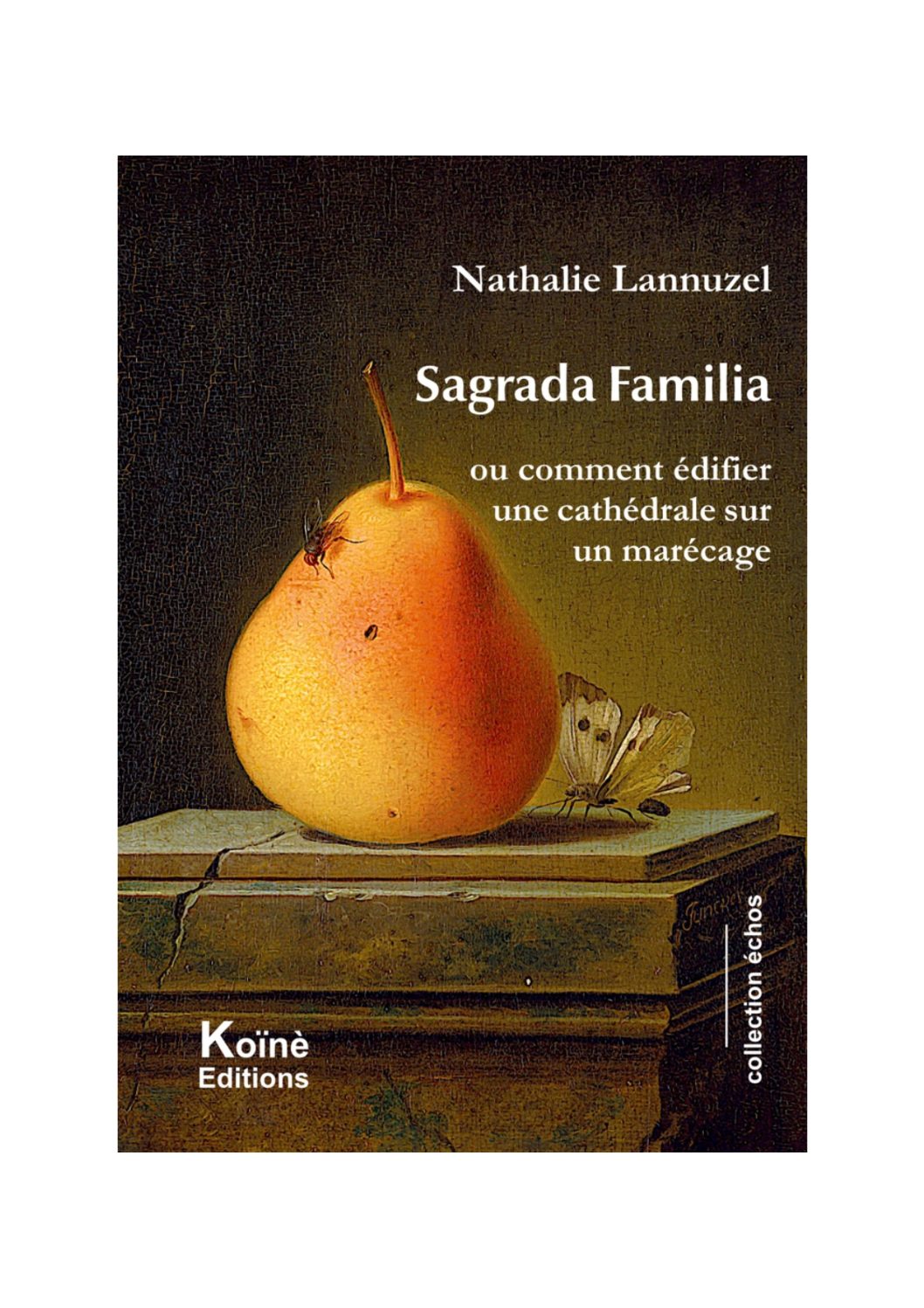 Descriptive text of the image